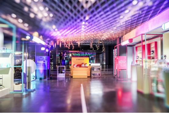 2024Co客大會驚喜不斷 安聰慧“官宣”全新大型高端插混SUV