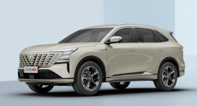 車企2025年銷量目標(biāo):新勢(shì)力普遍翻倍,傳統(tǒng)車企穩(wěn)中求升