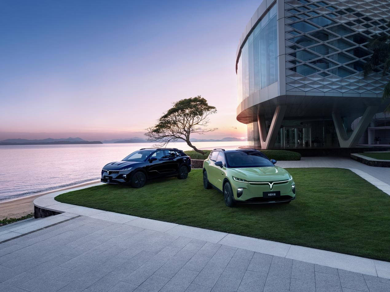 海內外迅速“走紅”,嵐圖知音何以成為“世界知音”