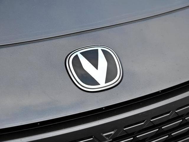 2024 汽車銷量揭曉,哪些廠家表現不俗?