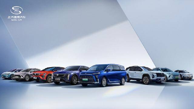 2024 汽車銷量揭曉,哪些廠家表現不俗?