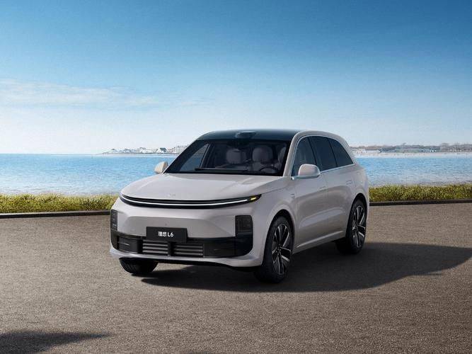 12月新能源車銷量大賞:車界“武林大會”風云錄