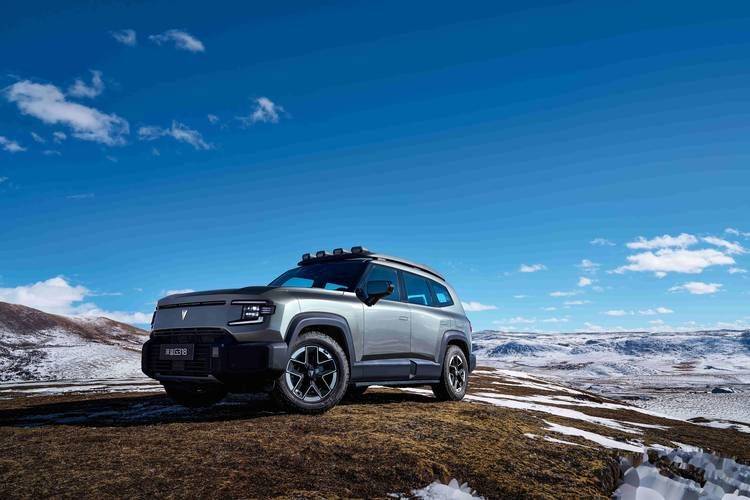 12月新能源車銷量大賞:車界“武林大會”風云錄