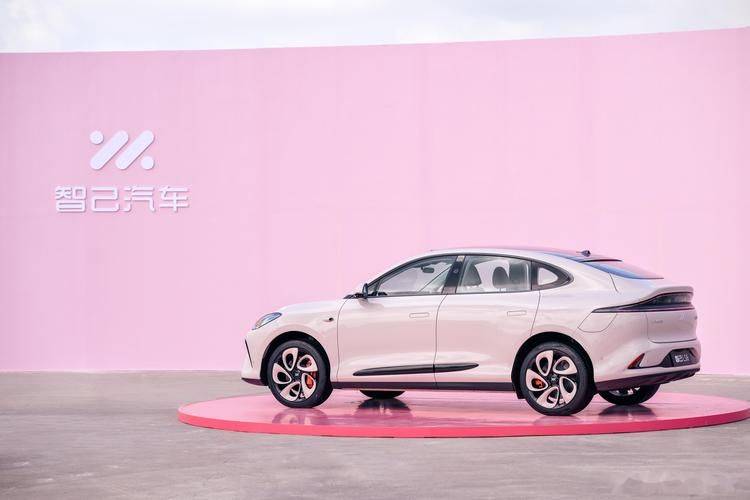 12月新能源車銷量大賞:車界“武林大會”風云錄