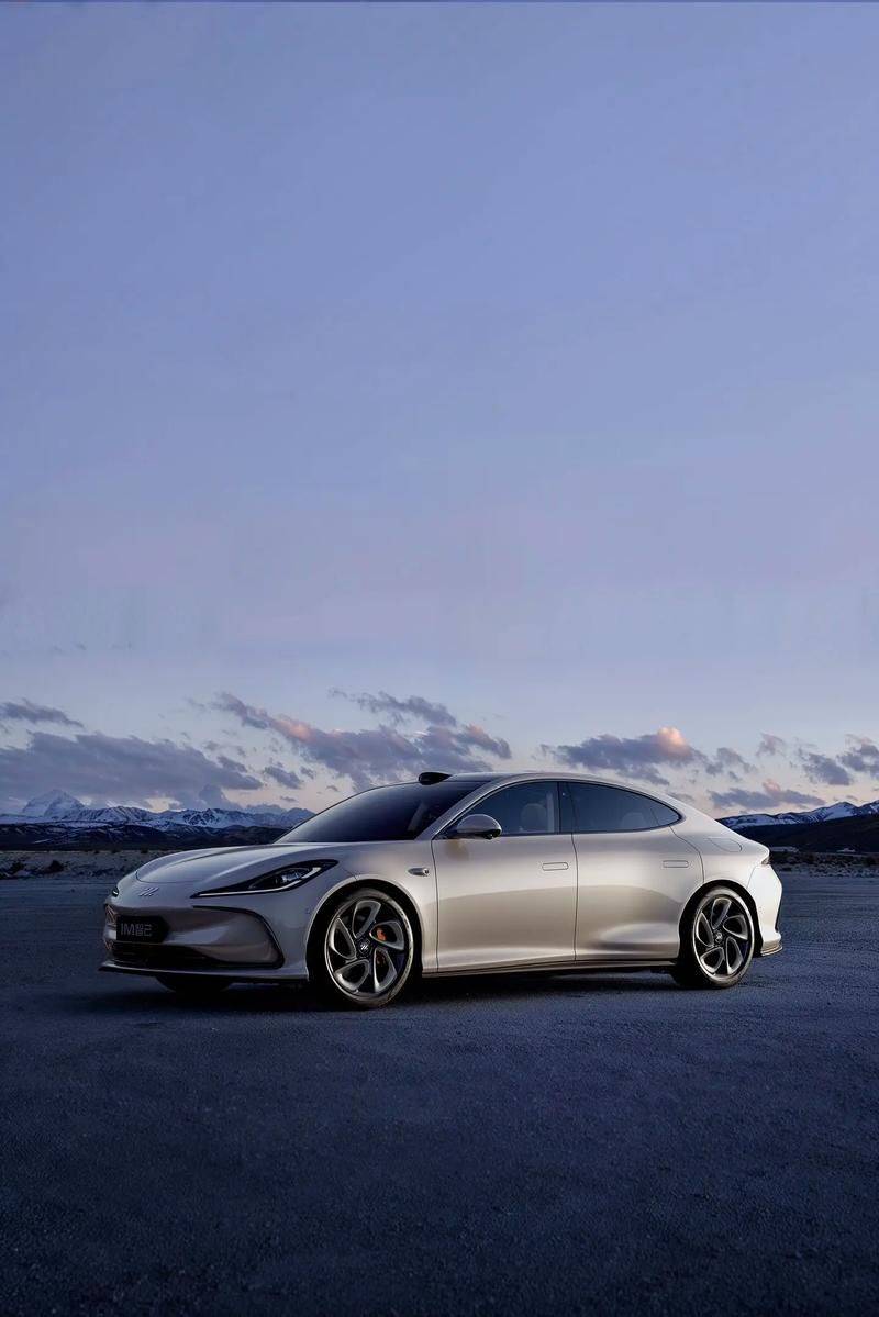 12月新能源車銷量大賞:車界“武林大會”風云錄