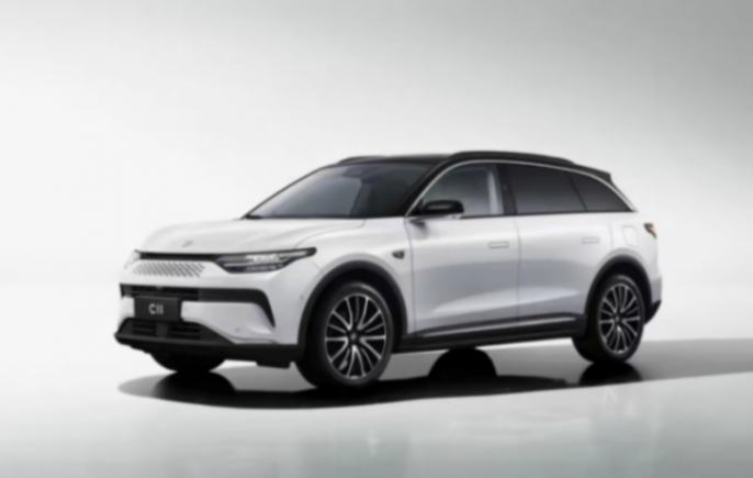 零跑1月售25000余臺(tái)車(chē),同比漲105%,環(huán)比下降四成多